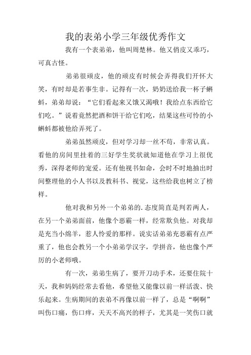 我的表弟小学三年级优秀作文