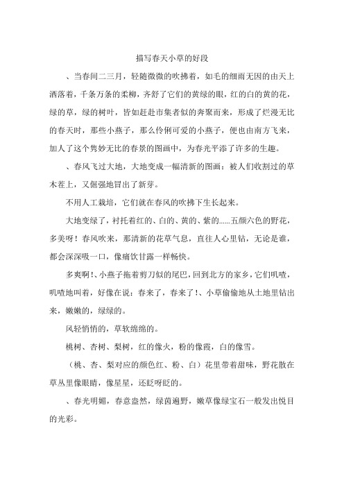 描写春天小草的好段-作文