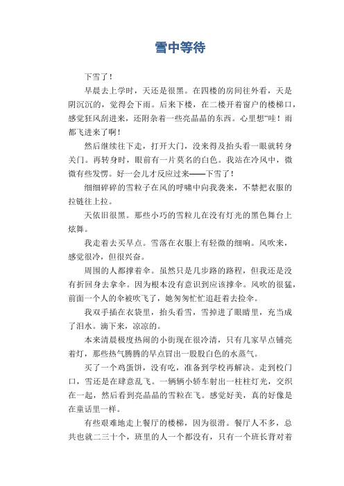 初中生满分作文：雪中等待