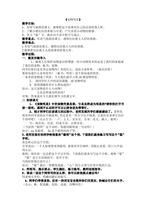 宠物明星