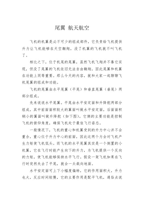 尾翼 航天航空
