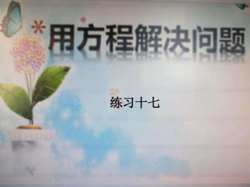 人教课标版五年级数学上册练习十七新