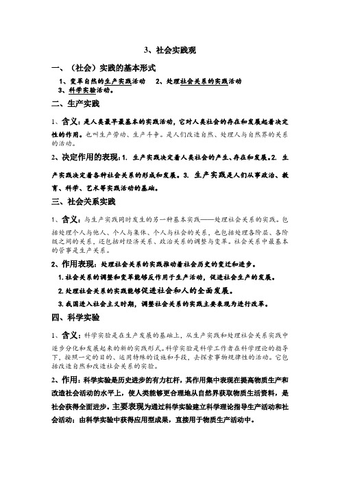 3.社会实践观