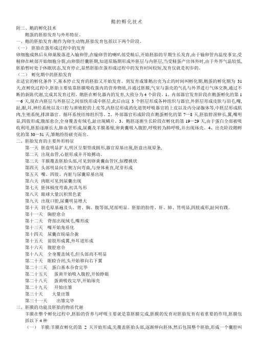 鹅的孵化技术 (2)