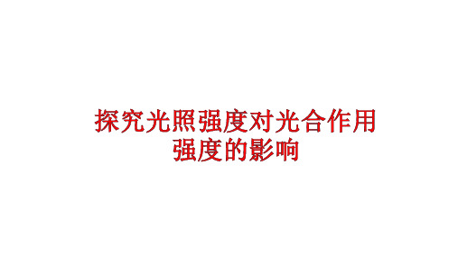 高中生物：探究光照强度对光合作用强度的影响