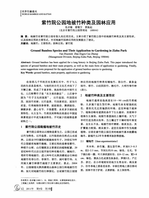 紫竹院公园地被竹种类及园林应用