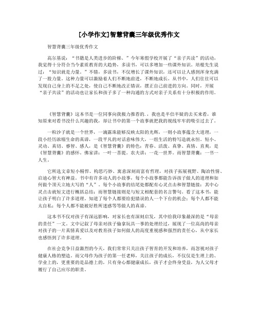 [小学作文]智慧背囊三年级优秀作文