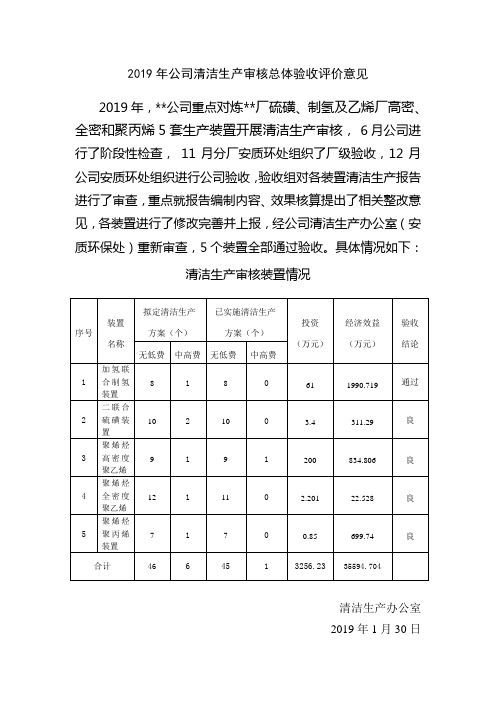 公司清洁生产审核验收报告.doc
