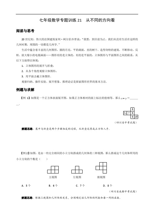 七年级数学专题训练21 从不同的方向看(附答案)