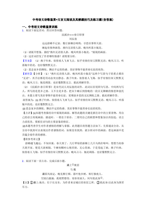 中考语文诗歌鉴赏+文言文阅读及其解题技巧及练习题(含答案)