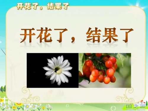 《开花了,结果了》植物的生长变化PPT优秀教学课件