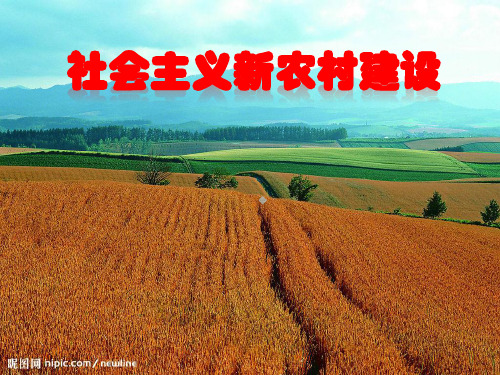 社会主义新农村建设
