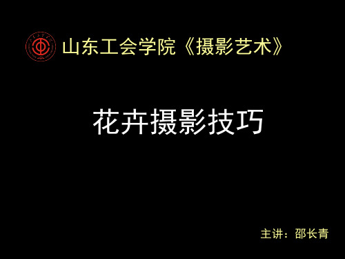 花卉摄影