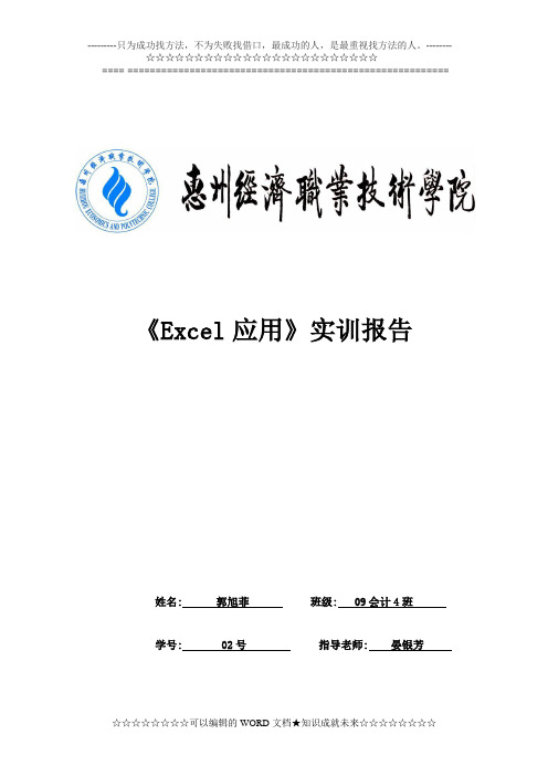 《Excel应用》实训报告