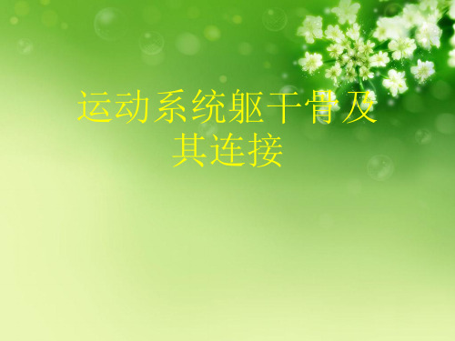 运动系统躯干骨及其连接优秀课件