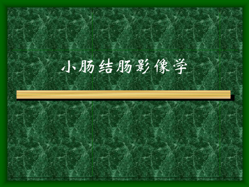 CT学习——小肠结肠影像学