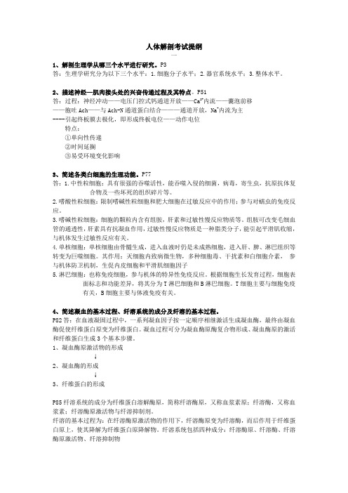 人体解剖提纲