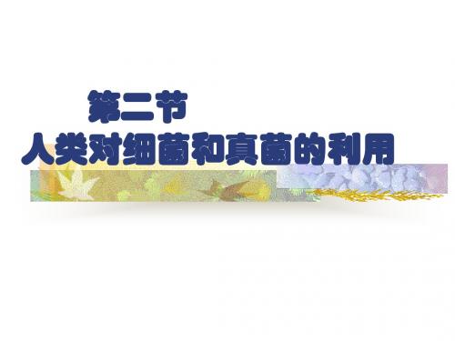 【初中生物】人类对细菌和真菌的利用ppt1