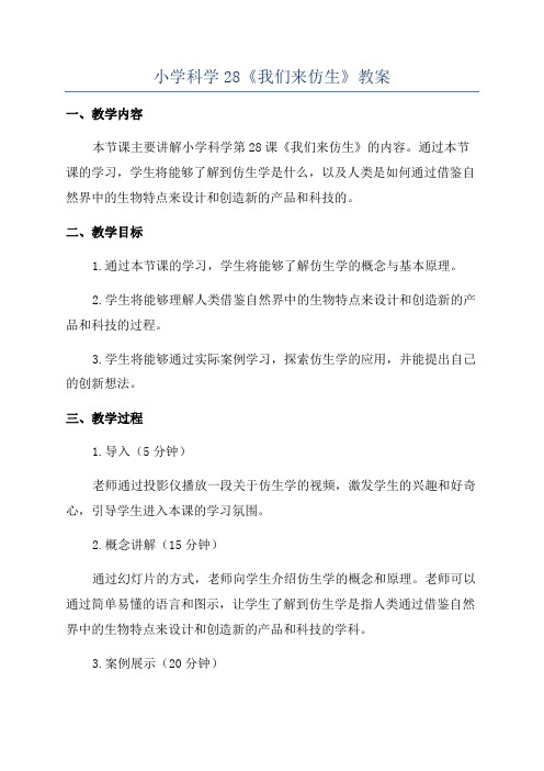 小学科学28《我们来仿生》教案