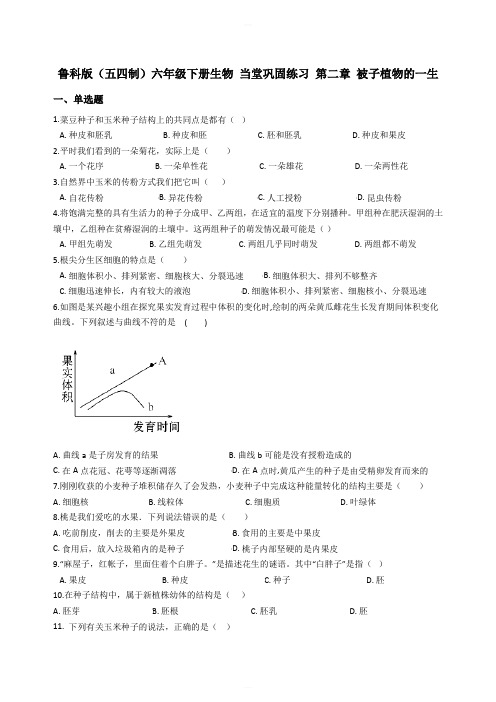 鲁科版(五四制)六年级下册生物 当堂巩固练习 第二章 被子植物的一生含答案