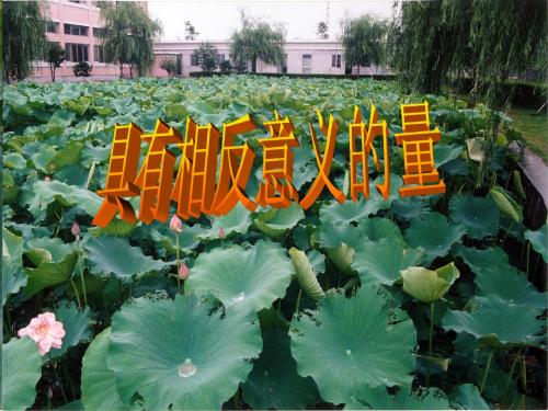 1.1具有相反意义的量2章