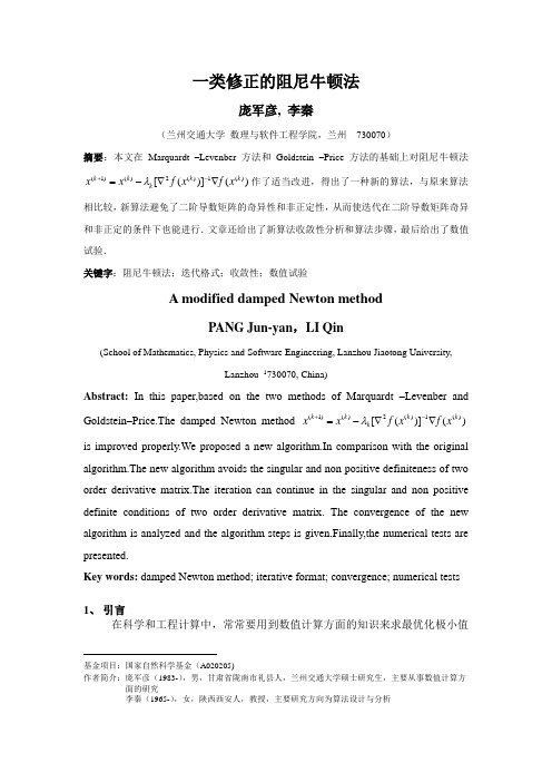 一类修正的阻尼牛顿法