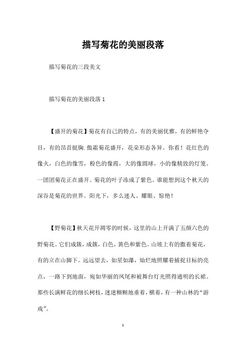 描写菊花的美丽段落