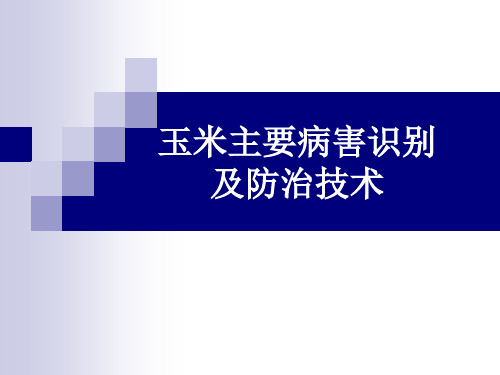 玉米主要病害识别及防治