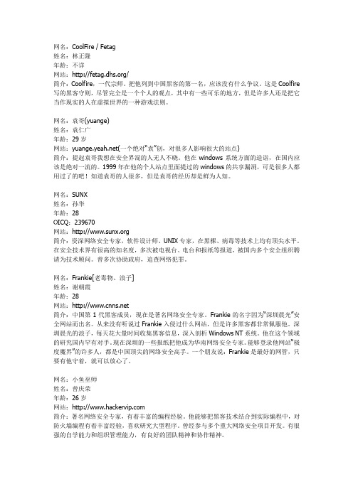 04 中国黑客精英组成
