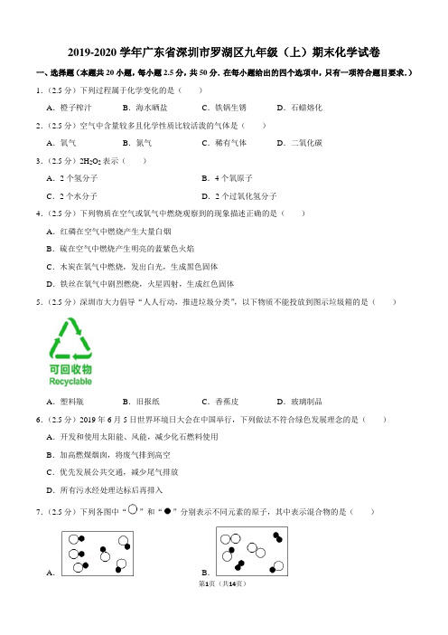2019-2020学年广东省深圳市罗湖区九年级(上)期末化学试卷
