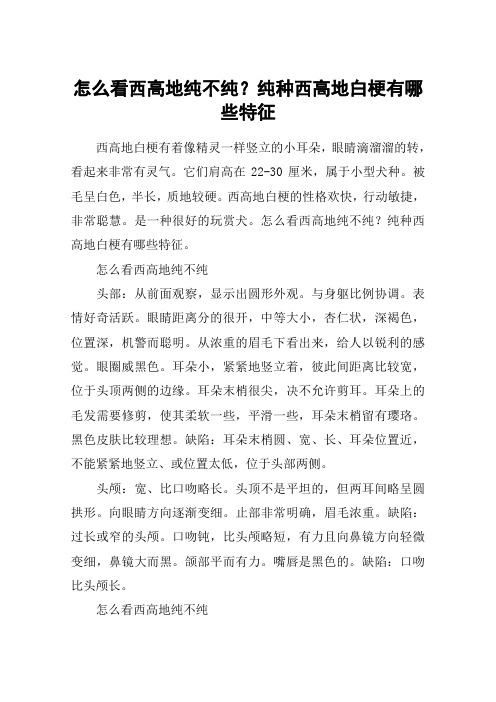 怎么看西高地纯不纯？纯种西高地白梗有哪些特征