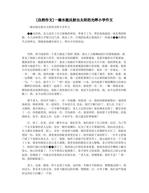 [自然作文]一滴水能反射出太阳的光晖小学作文