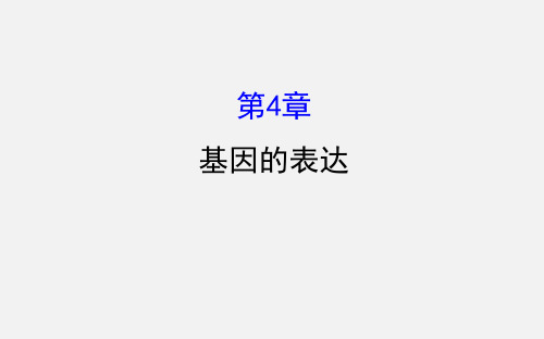 高考生物 一轮复习 基因的表达 新人教必修2