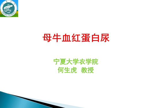 母牛血红蛋白尿 Microsoft Office PowerPoint 演示文稿