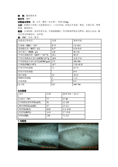 (兽医临床)膈疝2月份 已发