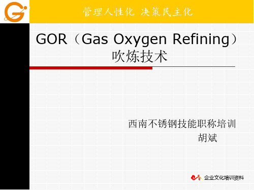 GOR课件