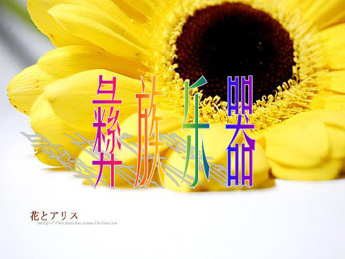 彝族乐器
