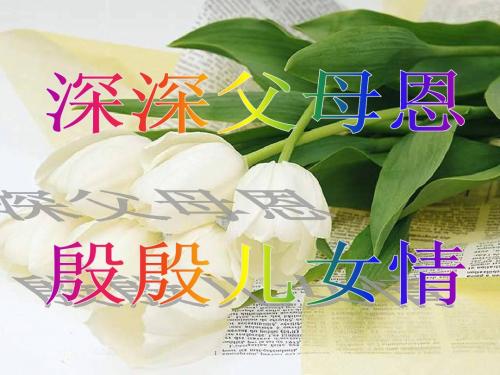 《我的父亲母亲》ppt课件