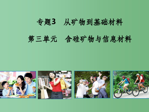 (教师参考)高中化学 3.3 含硅矿物与信息材料课件1 苏教版必修1