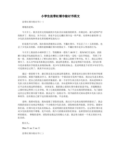 小学生没带红领巾检讨书范文