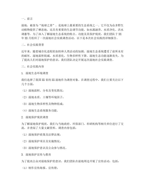 在湿地的社会实践报告