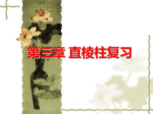第三章-直三棱柱复习-1PPT课件