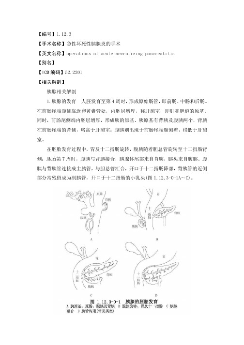 手术-1123 急性坏死性胰腺炎手术 (1)
