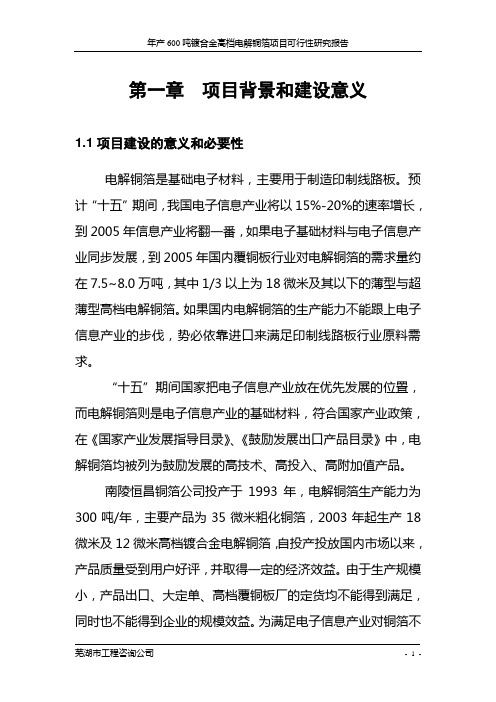 年产600吨镀合金高档电解铜箔项目可行性研究报告