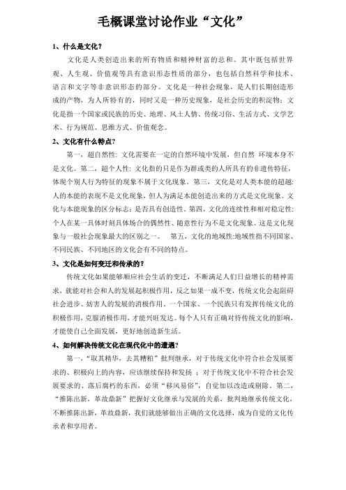 毛概课堂讨论“文化”