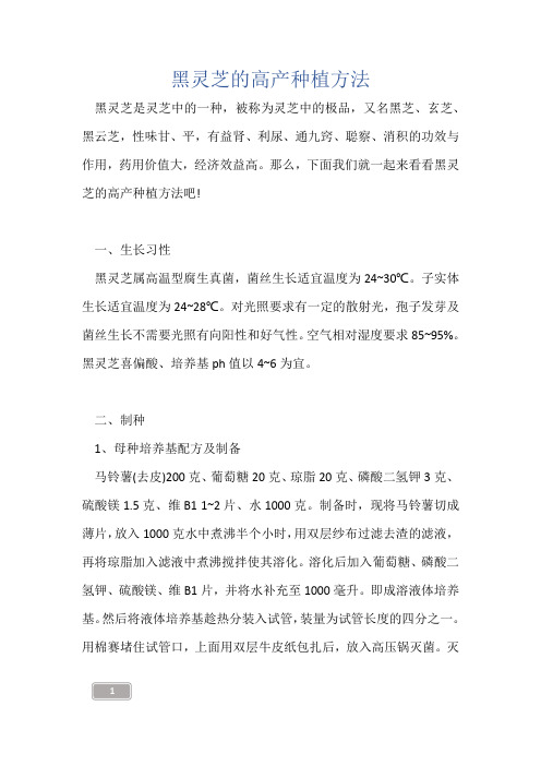 中药知识-黑灵芝的高产种植方法