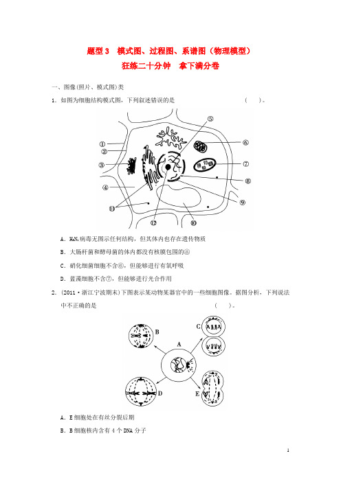 高考生物： 题型3 模式图、过程图、系谱图(物理模型) 随堂精练 新人教版