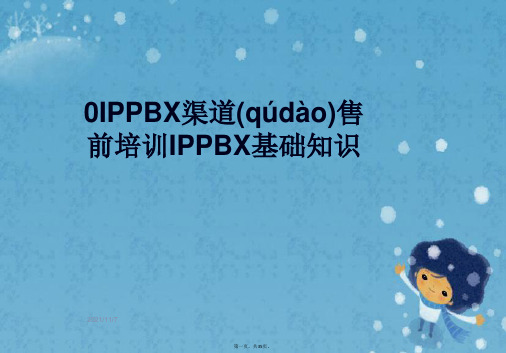 0IPPBX渠道售前培训IPPBX基础知识