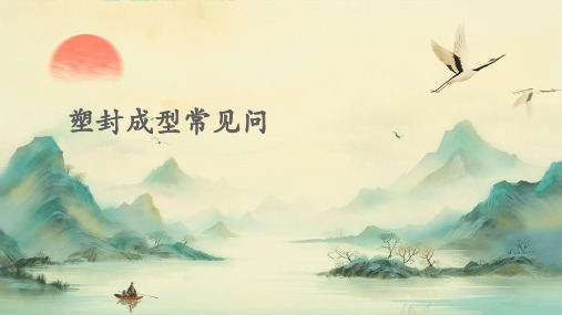 塑封成型常见问题
