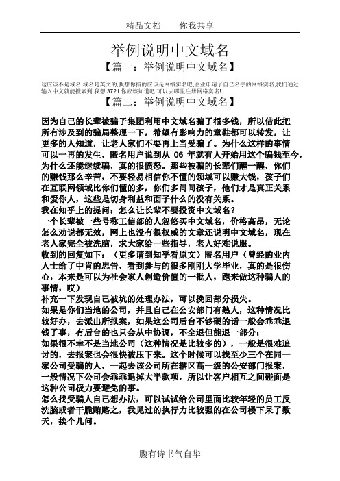 举例说明中文域名